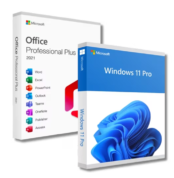 Office 2021 Professional Plus + Windows 11 Pro