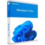 Windows 11 pro