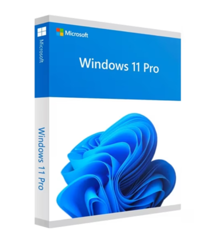 Windows 11 pro