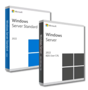 Windows Server 2022 Standard + RDS 50 User CALs