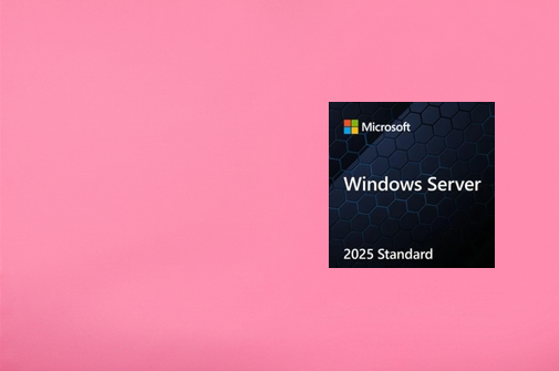Windows server
