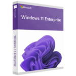 Windows 11 Enterprise 