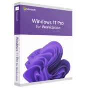 Windows 11 Pro for Workstations